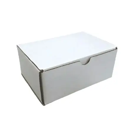 Boîte valise en carton d’expédition ondulé blanc – 20 × 10 × 15 cm – Packaging e-commerce résistant - Fatipack Group Emballage M
